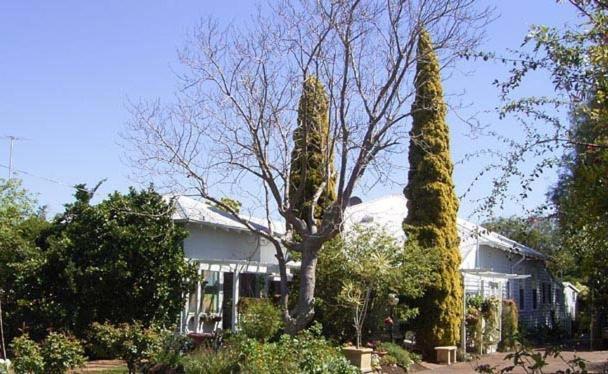 בסלטון Jacaranda Guest House מראה חיצוני תמונה