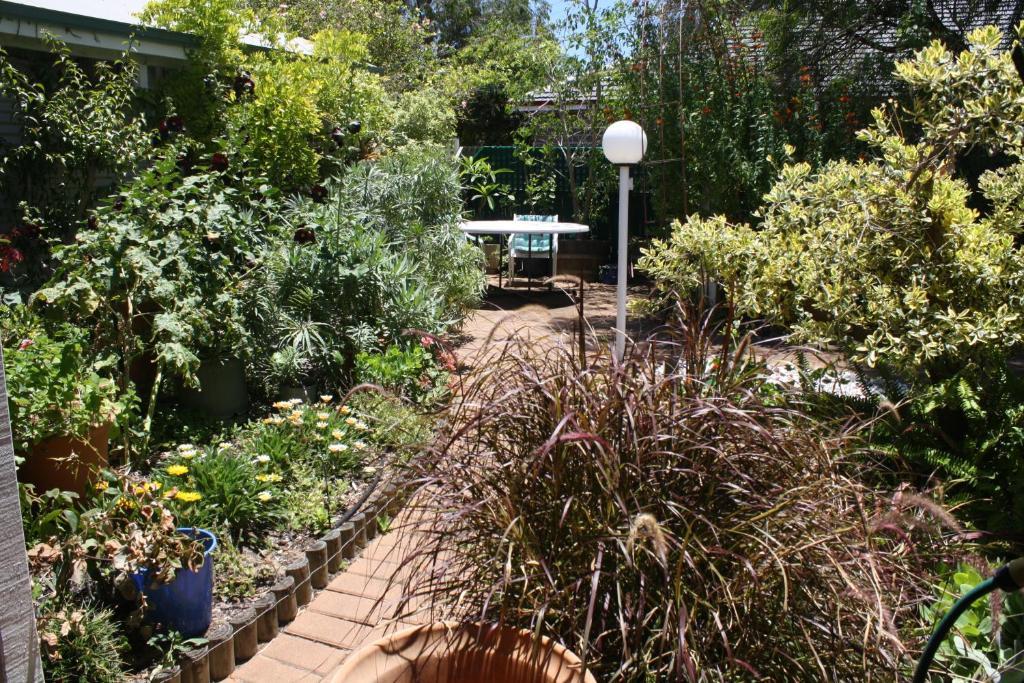 בסלטון Jacaranda Guest House מראה חיצוני תמונה