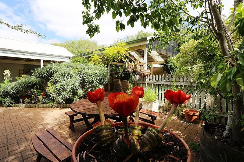 בסלטון Jacaranda Guest House מראה חיצוני תמונה